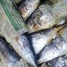 Pakar IPB Peringatkan Risiko Kanker dari Penggunaan Kertas Bekas untuk Ikan Pindang