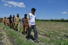Sambangi Petani Tembakau Gagal Panen di Lombok, Gubernur NTB Janjikan Bantuan