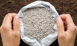 Kementan Fokus Subsidi NPK dan Urea, Akademisi Unpad Bagikan Pendapatnya