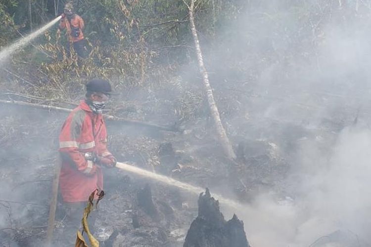 Petugas dari Manggala Agni Daops Siak memadamkan api kebakaran lahan di wilayah Kecamatan Dayun, Kabupaten Siak, Riau, Senin (5/8/2019). Kebakaran gambut dan semak belukar ini mengeluarkan asap yang cukup parah.