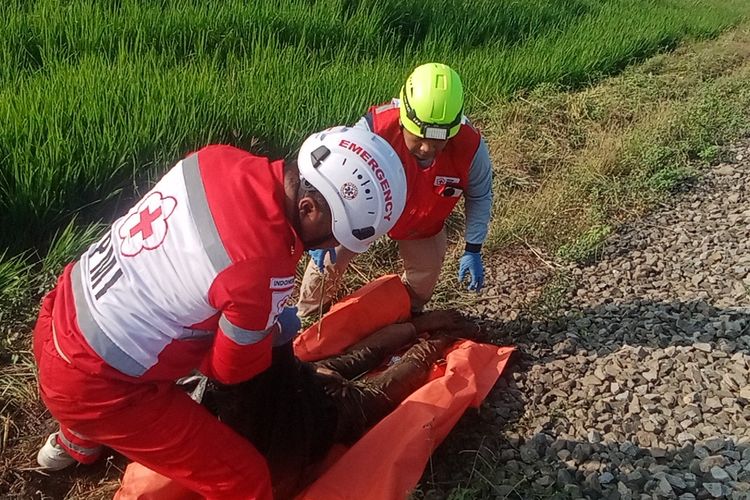 Diduga Stres Orangtuanya Bercerai, Pemuda di Malang Tewas Tertabrak Kereta Api saat Berjalan di Rel