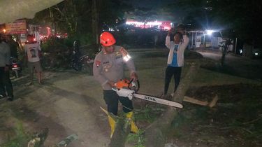 Update Pohon Tumbang di Depan Unpad Jatinangor: 1 Kritis, 2 Luka Berat, 2 Luka Ringan