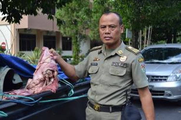 Petugas Satpol PP Kota Magelang menunjukkan sampel daging gelonggongan yang berhasil disita, Kamis (24/7/2014).