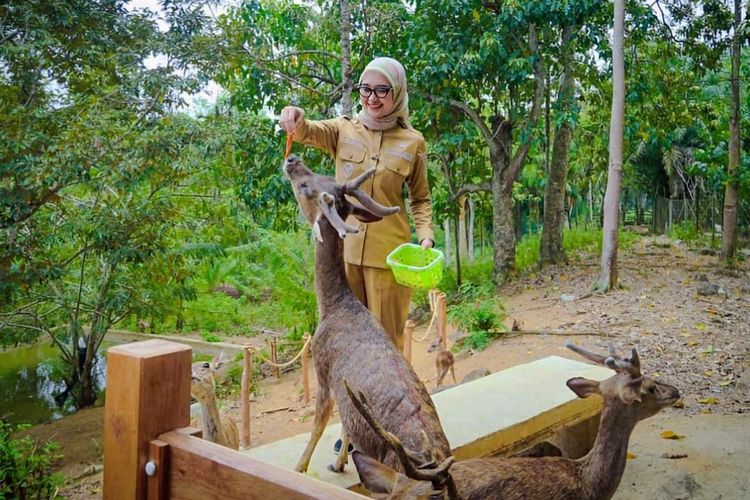 Wisata ke Tahura Wan Abdul Rahman Lampung, Bisa Trekking dan Mengamati Burung
