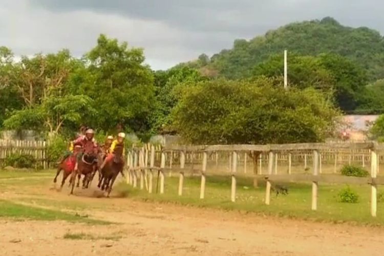 Para joki cilik di Bima saat beradu cepat di arena pacuan kuda Desa Panda, Kabupaten Bima, Rabu (16/8/2023).