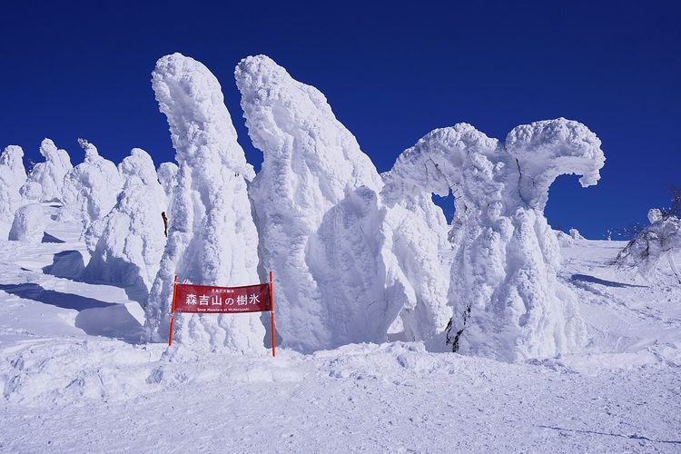 Ilustrasi juhyo atau monster salju di Jepang. Juhyo atau &ldquo;monster salju&rdquo; di Gunung Zao, Jepang, terancam punah akibat krisis iklim dan serangan wabah.