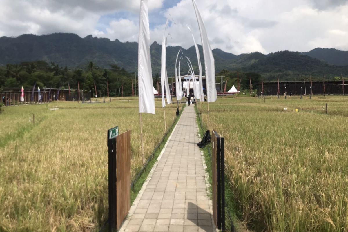 Suasana tempat pelaksanaan acara Balkonjazz Festival 2022 di Balai Ekonomi Desa Pusat Perusahaan Negara (Balkondes PGN) Karangrejo, Borobudur, Jawa Tengah pada Sabtu (14/5/2022) siang.