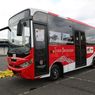 Bus Trans Banyuwangi, Pakai Bodi Buatan New Armada