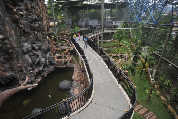 Kinantan Bird Park Bukittinggi: Harga Tiket, Lokasi, dan Jam Buka