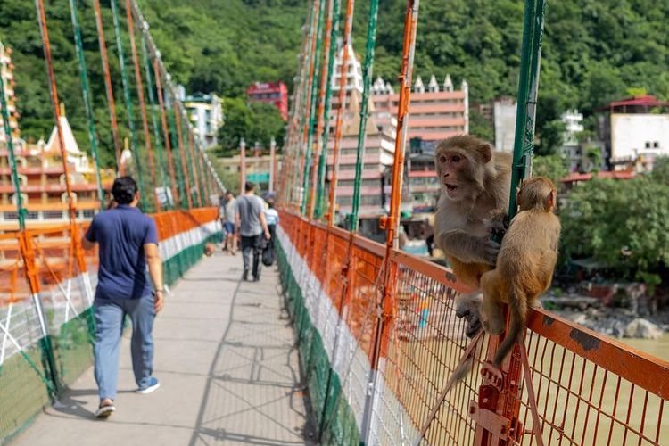 Foto tertanggal 1 Oktober 2019 menunjukkan orang-orang berjalan di jembatan suci Lakshman Jhula, Rishikesh, India. 