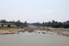 Debit Air Sungai Cisadane Turun Drastis, Sepertiga Lebar Sungai Sudah Jadi Daratan