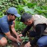 Tur di Kebun Kopi Colol NTT, Wisata Sambil Tanam Anakan Kopi Juria