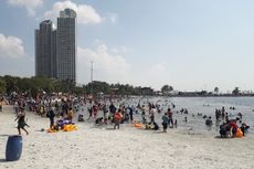 16-26 Agustus Ada Festival Kopi dan Teh di Pinggir Pantai Ancol