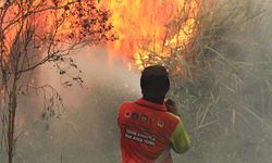 Ribuan Hektare Lahan di Riau Kebakaran, Kemnhut Gelar OMC Selama 10 Hari