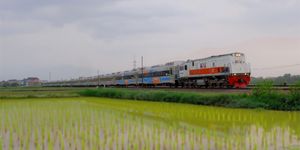 KAI melanjutkan transformasi layanan dengan menghadirkan rangkaian Stainless Steel New Generation untuk memperbarui layanan kereta jarak jauh di berbagai relasi