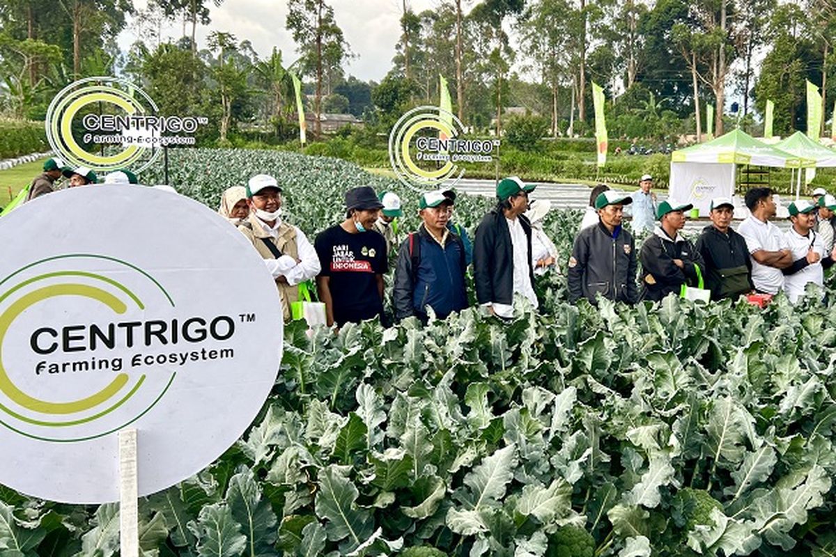 Centrigo merupakan ekosistem pertanian yang menawarkan solusi menyeluruh dan terintegrasi dalam mengatasi hambatan para petani untuk mencapai produktivitas dan profitabilitas yang lebih tinggi.
