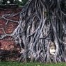 5 Rekomendasi Destinasi Wisata di Thailand, Ada Ayutthaya dan Buriram