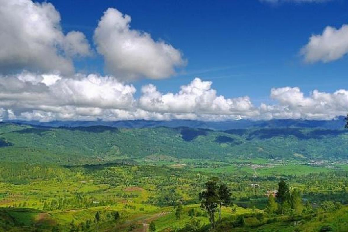 Taman Nasional Gunung Leuser.