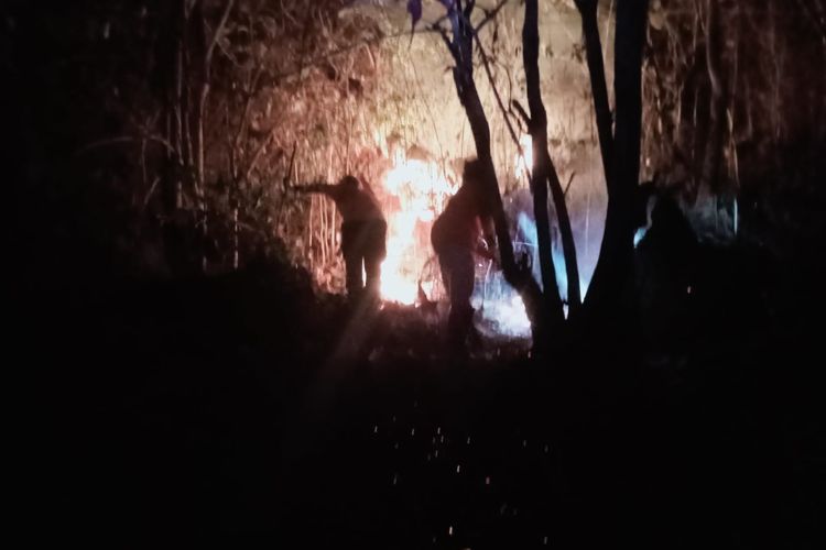 TERBAKAR--Hutan yang berada di kawasan Gunung Pegat di Desa Ngadiroyo, Kecamatan Nguntoronadi, Kabupaten Wonogiri, Jawa Tengah terbakar hebat sejak kemarin. Total luas lahan hutan yang terbakar mencapai 17.5 hektar.