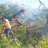 70 Hektar Hutan dan Lahan di Rokan Hulu Terbakar, Api Akhirnya Padam