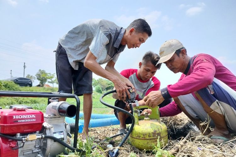 Petani bawang merah di Brebes, Darma (49) dibantu anak- anaknya menyiapkan pompa air dengan bahan bakas gas LPG 3 Kg untuk mengairi sawahnya di Desa Limbangan Kulon, Kecamatan Brebes, Kabupaten Brebes, Jawa Tengah, Jumat (4/11/2022).