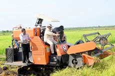 Prabowo Tinjau Panen Padi di Merauke, Naik Mesin "Combine Harvester" Bareng Warga 