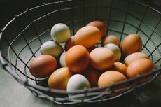 Apakah Telur Perlu Dicuci Sebelum Disimpan? Ini Penjelasannya