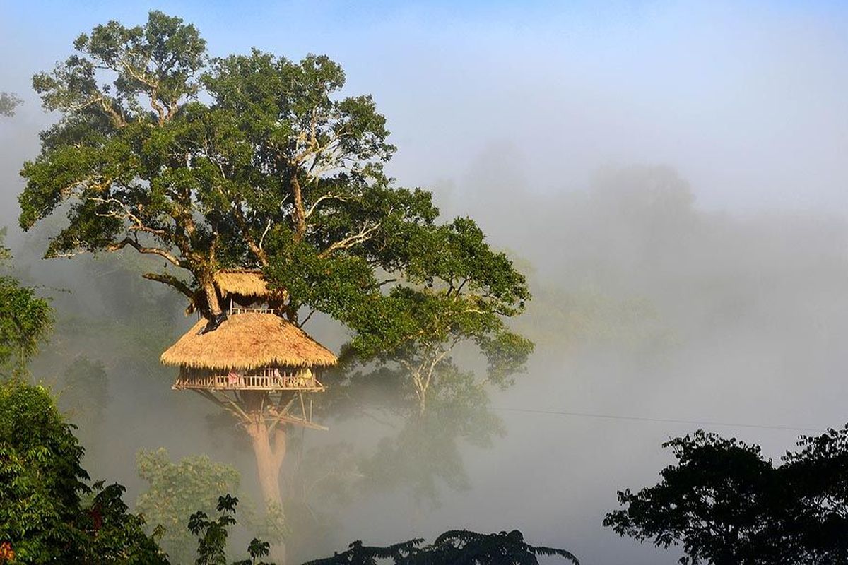 Resor yang berada di tengah hutan Laos ini dibangun di atas pohon setinggi 30-40 meter. 