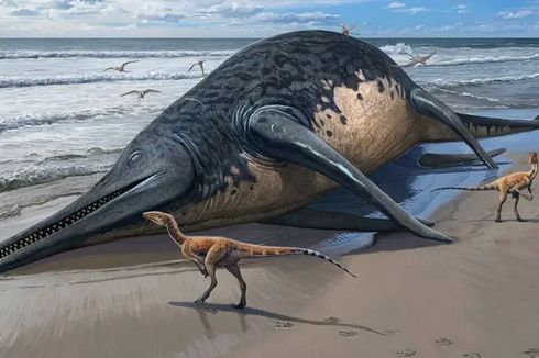 Fosil Reptil Purba Sebesar 2 Bus Ditemukan, Mungkin Terbesar di Lautan