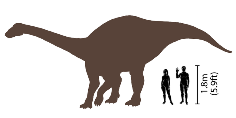 Perbandingan ukuran Riojasaurus dengan manusia
