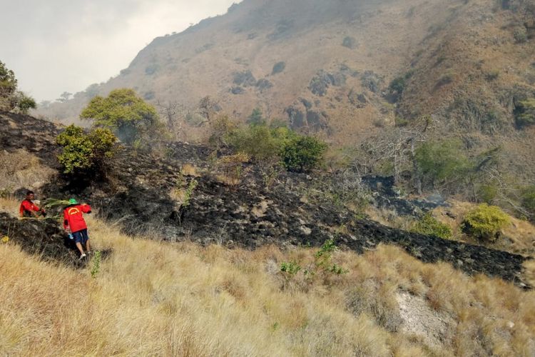 10 Hal Yang Harus Diperhatikan Saat Masuk Taman Nasional