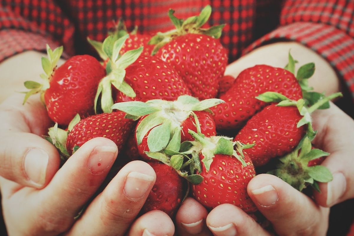 buah stroberi
