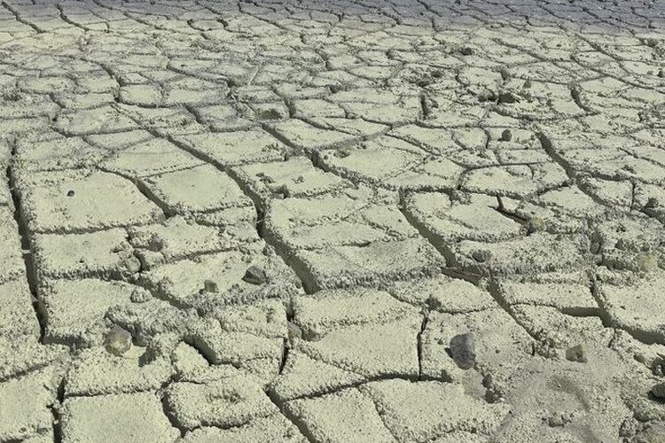Kemarau Panjang, Debit Air di Kawah Putih Bandung Turun Hingga 40 Persen