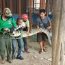 Heboh, Buaya Sepanjang 2,9 Meter Masuk di Parkiran Mal, Ini Dugaan Penyebabnya