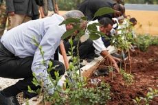 Tangkal Perubahan Iklim, Etiopia Klaim Rekor Dunia dengan Tanam 350 Juta Pohon