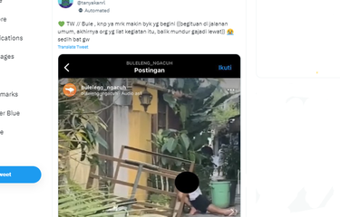 Tangkapan layar twit soal turis asing berbuat tidak senonoh di jalan umum