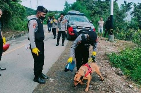 Pencarian Dokter Faisal Berlanjut, Polda Sulteng Terjunkan Anjing Pelacak Bantu Polres Tolitoli
