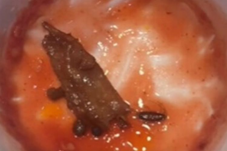 Seorang pengunjung restoran di China mengunggah video di Douyin, menunjukkan kecoak yang dia temukan di mangkuk makanan anaknya yang sudah habis.