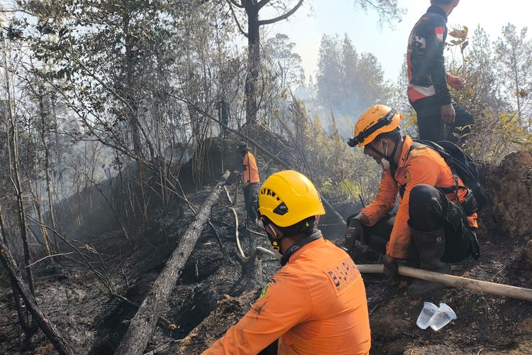 Karhutla Meluas di Mamasa, Wabup Khawatir Wisatawan Enggan Datang