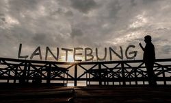 Hutan Mangrove, Daya Tarik Utama Desa Wisata Lantebung di Makassar