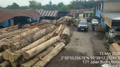 Gakkum LHK Temukan 1.677 Kayu Rimba dari Hutan Labura, Diduga Ilegal di 5 Perusahaan Asahan
