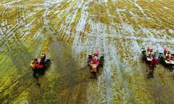 Berkat Optimalisasi Lahan Rawa, Luas Tanam Padi di Banjar Meningkat 5 Kali Lipat