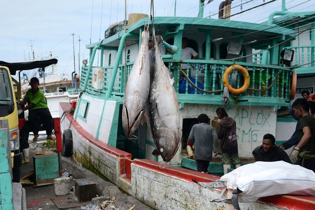Nelayan menurunkan ikan tuna hasil tangkapan mereka di pelabuhan Benoa, Bali.