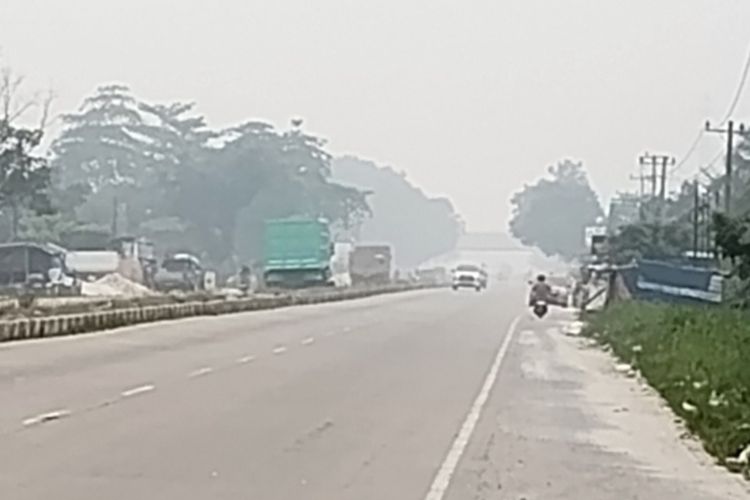 Dampak Kabut Asap di Pekanbaru, Tak Hanya Ganggu Kesehatan, Ekonomi Penjual Ikan Juga Terganggu