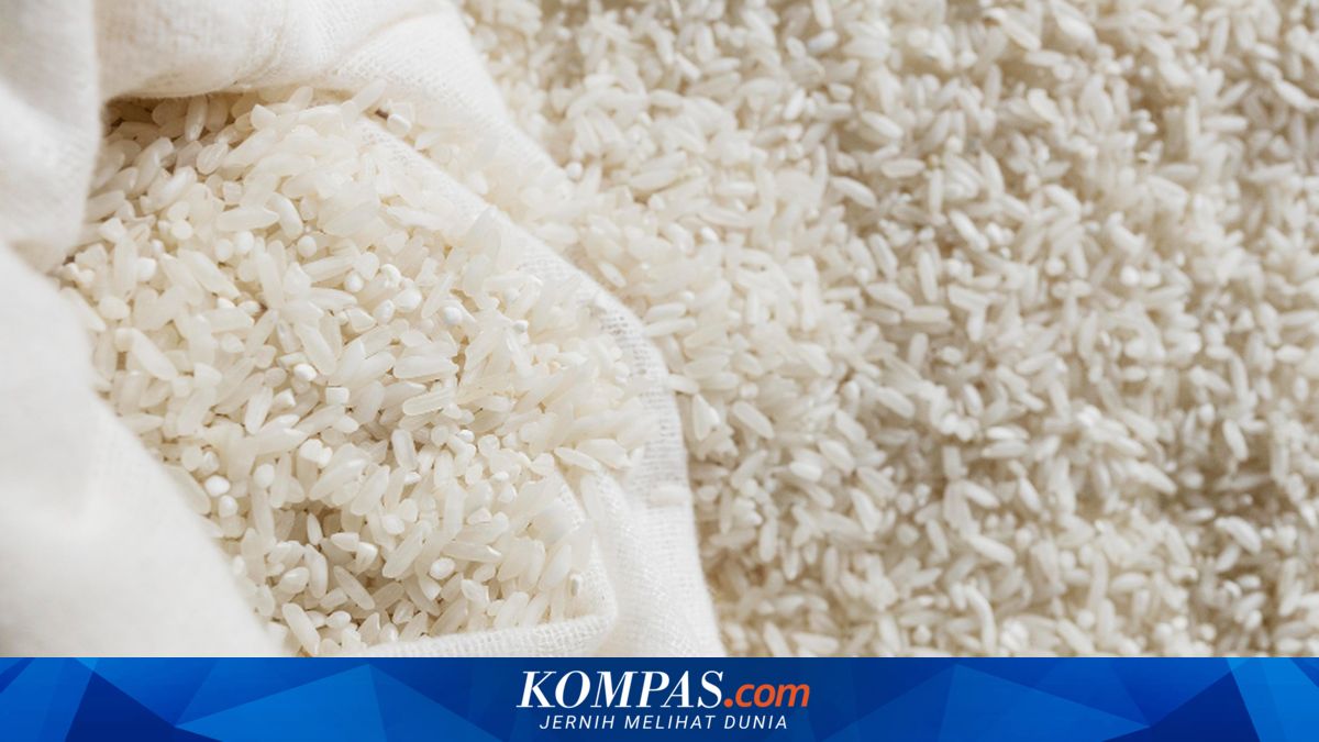 Ternyata Ini Penyebab Kenaikan Harga Beras Premium di Jakarta