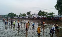 Kementan Apresiasi Distanbun Jateng Tanggung Asuransi Petani Miskin 