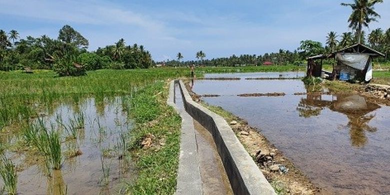 Nampak saluran irigasi pertanian di Desa Sunur, Kecamatan Nasa Baris, Kabupaten Padang Pariaman, Sumatera Barat yang mendapat bantuan Rehabilitasi Jaringan Irigasi Tersier (RJIT) Kementerian Pertanian (Kementan). 