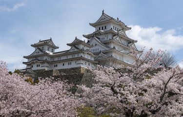 Ilustrasi Jepang sebagai Negeri Sakura