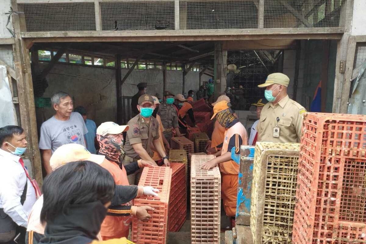 Proses relokasi tempat pemotongan hewan unggas di wilayah Matraman dan Pulogadung, Jakarta Timur ke daerah Rawa Terate, Cakung, Kamis (30/1/2020).