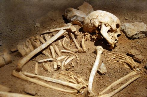 Manusia Purba Kanibal Tertua Ternyata ‘Sepupu’ Homo Sapiens